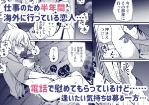 iの密会-iの失踪3-もうたまらんw