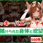 ラッキーバニー・ナイト 〜賭けられた身体と欲望〜 今夜のオカズに!!