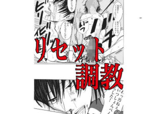 リセット調教今夜のオカズに!!