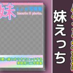 写真集パケコラ素材〜「妹えっち」こんなの射精不可避w