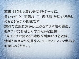 びしょ濡れ美女図鑑 #1白シャツ編 もうたまらんw