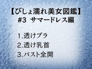 びしょ濡れ美女図鑑 #3 サマードレス編 こんなの射精不可避w