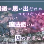 最後の思い出だけのつもりだったのに片想いしていた魔法使いにねっとり愛されて囚われました 今夜のオカズに!!