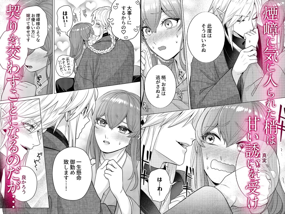 嫁ぎ先は土地神さま一目惚れから始まる溺愛エッチで誰のものかわからされました おすすめ作品!!