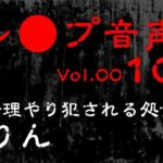 【レ◯プ音声】vol.010 無理やり犯●れる処女 りん エロすぎるやろ...