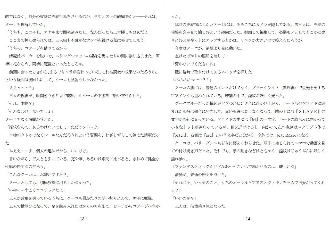 800万円のDVR:3惨虐搾取編 もうたまらんw