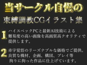 【新作価格】【豪華特典あり】バレー部巨乳JKSM調教シリーズ 監禁性奴●編【500個】 今夜のオカズに!!