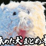 舐めた犬まとめ本 こんなの射精不可避w