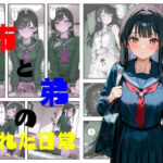 姉と弟の隠れた日常 今夜のオカズに!!