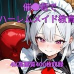 催●術でハーレムメイド教育 今夜のオカズに!!