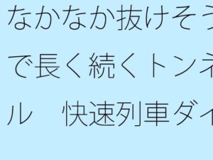 なかなか抜けそうで長く続くトンネル  快速列車ダイヤを確認しながら横にはカップのアイスコーヒー おすすめ作品!!
