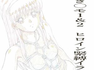 とき〇モ1&2 ヒロイン緊縛イラストらふ原画集 おすすめ作品!!