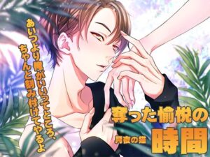 奪った愉悦の時間 おすすめ作品!!