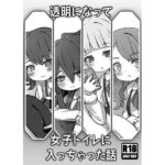 透明になって女子トイレに入っちゃった話 こんなの射精不可避w
