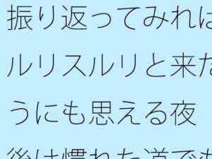 振り返ってみればスルリスルリと来たようにも思える夜 今後は慣れた道でも・・・・そしてまだまだ・・・ こんなの射精不可避w