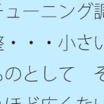 チューニング調整・・・小さいものとして それほど広くない木箱の中での周波数エンタ 今夜のオカズに!!