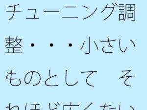 チューニング調整・・・小さいものとして それほど広くない木箱の中での周波数エンタ 今夜のオカズに!!