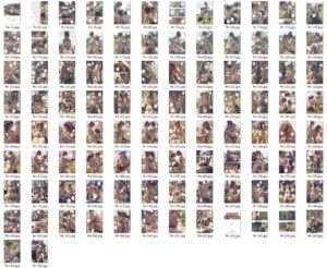 ふたなり村娘ノーラちゃん おすすめ作品！！