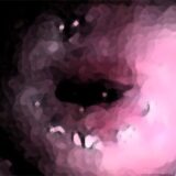 わたしの蟲姦遊び 第11話 妊娠中、子宮口にゴキブリを入れる編 音声（ASMR） エロエロSEX！！