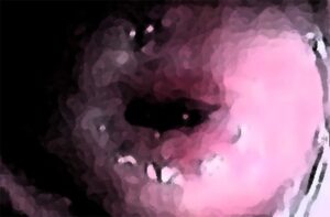 わたしの蟲姦遊び 第11話 妊娠中、子宮口にゴキブリを入れる編 音声(ASMR) エロエロSEX!!