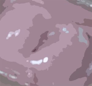 わたしの蟲姦遊び 第12話 子宮口にミミズを入れてデンマでオナニー編 音声(ASMR) 究極のプレイwww