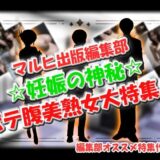 マルヒ出版編集部 〜妊娠の神秘☆ポテ腹美熟女大特集！〜 こんなの射精不可避ｗ
