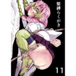 緊縛らくがき11 絶頂の渦に引き込まれる!