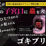 私の子宮口の中に蟲を入れる 第2話 キッチンを這っていたゴキブリ編 鬼滅ｗｗｗ