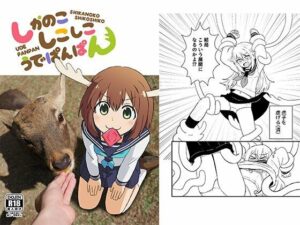 しかのこしこしこうでぱんぱん イキまくるwww