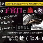 私の子宮口の中に蟲を入れる 第10話 近所の田んぼで見つけた蛭(ヒル)編 究極のプレイwww