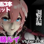 Vtuber鷹嶺ルイを調教してメスということを分からせる動画パック「Takane Lui」 今夜のオカズに!!