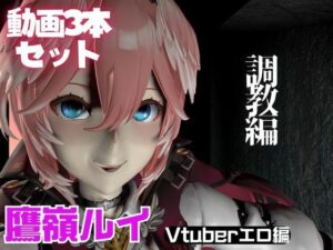 Vtuber鷹嶺ルイを調教してメスということを分からせる動画パック「Takane Lui」 今夜のオカズに!!