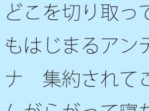 どこを切り取ってもはじまるアンテナ  集約されてこんがらがって寝た昨夜から朝 絶頂の渦に引き込まれる!