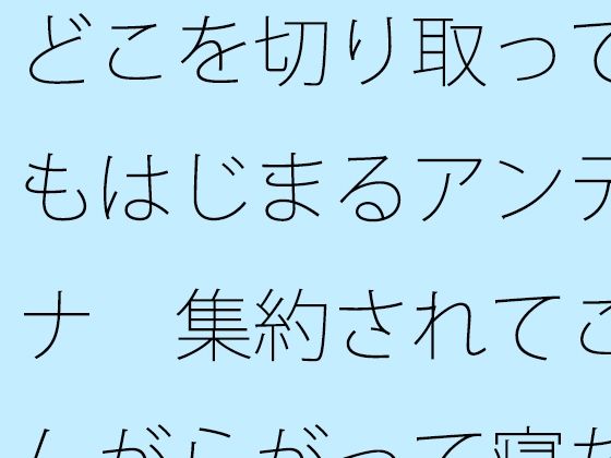 どこを切り取ってもはじまるアンテナ 集約されてこんがらがって寝た昨夜から朝 絶頂の渦に引き込まれる!