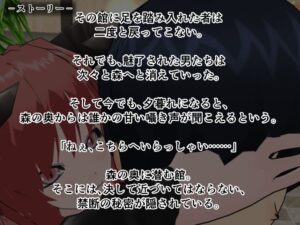 サキュバスの棲む淫欲の館 おすすめ作品!!