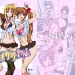 なまリリカル もうたまらんw