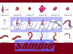 同人制作お助け素材「触手だらけ」 おすすめ作品!!