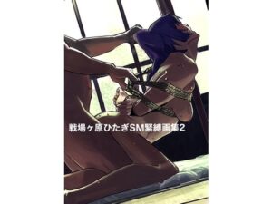 戦場ヶ原ひたぎSM緊縛画集2 こんなの射精不可避ｗ