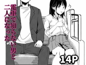 電車で知らない男と二人になった 究極のプレイwww