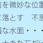 岩を微妙な位置に落とす 不思議な水面・・・・大きな石だけに安心ではあるが 今夜のオカズに!!