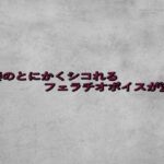 若妻のとにかくシコれるフェラチオボイスが流出 おすすめ作品!!