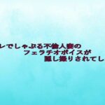 トイレでしゃぶる不倫人妻のフェラチオボイスが隠し撮りされてしまう エロエロSEX!!