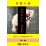被虐の少女 第4巻 絶頂の渦に引き込まれる!
