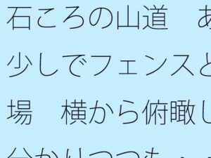 石ころの山道  あと少しでフェンスと広場  横から俯瞰して分かりつつも・・・・ 絶頂の渦に引き込まれる!