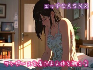 ワンピースを着たまま体を触る音 究極のプレイwww